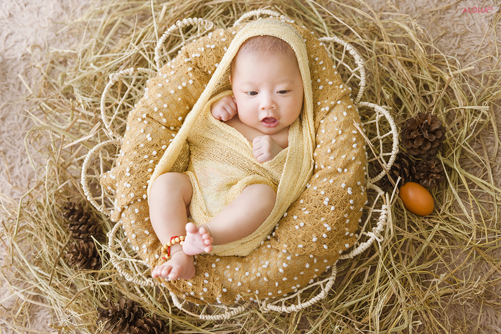 album ảnh newborn 27